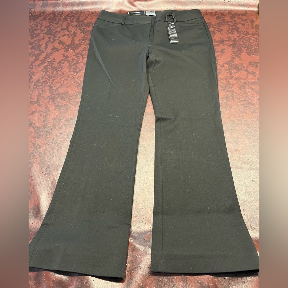 Express Black Pants